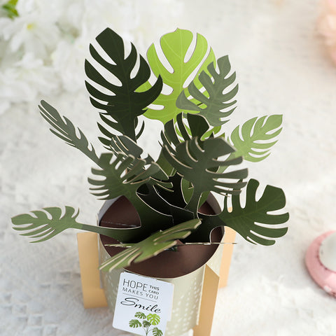 3D Pop Up Potting Plant Greeting Card