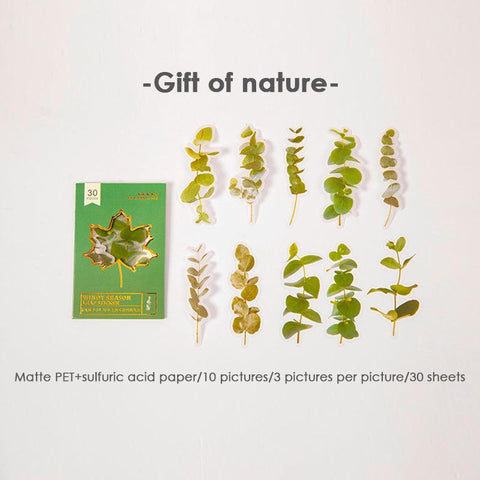 Season series romantic maple leaf hand account material stickers