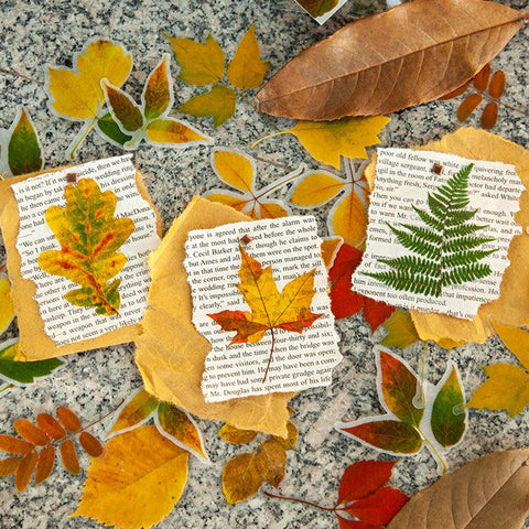 Season series romantic maple leaf hand account material stickers